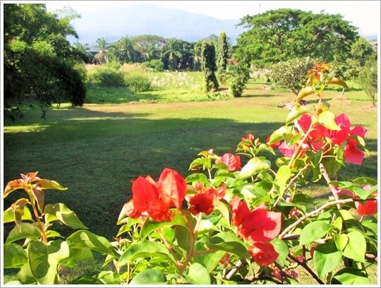12rai Rimtai Maerim Chiangmai, Property.