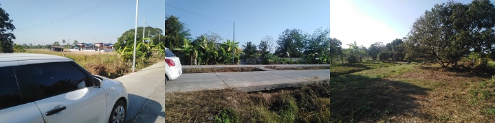 NongTong Hangdong2rai