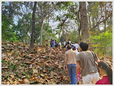 กิจกรรมบอก กล่าว เล่า ขวัญ เวียงเจ็ดลิน รถรางไฟฟ้า