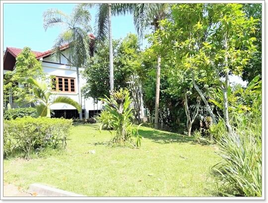 House480sqw Doisaket FloraVille, chiangmai properties.