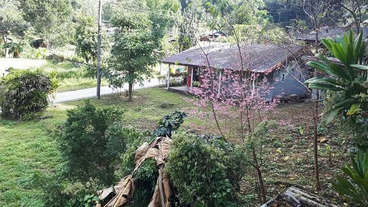 house Highland Doisaket Chiangmai.