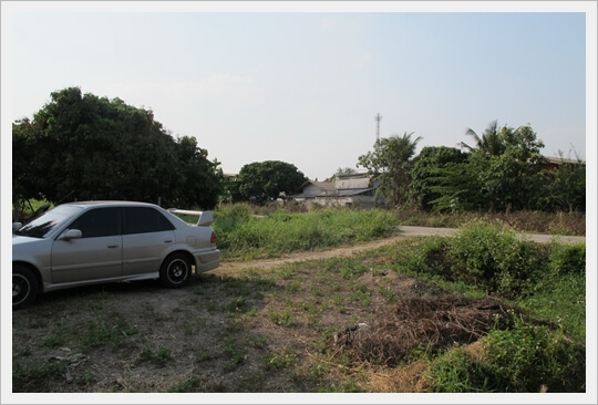 739sqw nongtong langanOrchard, chiangmai.