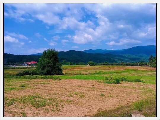 30rai ChiangDao ChiangMai,Chiangmai, properties
