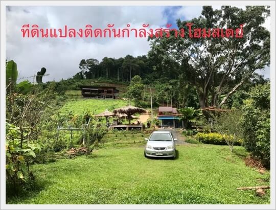 30rai Maetang Sobpoeng.Hill,chiangmai.