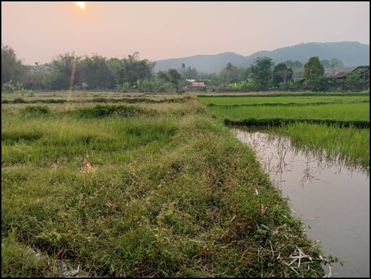 5 1 04rai Namprae Hangdong, chiangmai.