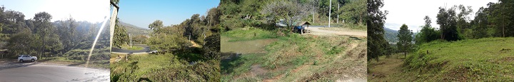 MaerimLand5rai Pongyeang hillslope Chiangmai