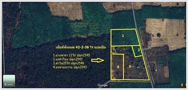 42Rai MixPlantation Burirum.